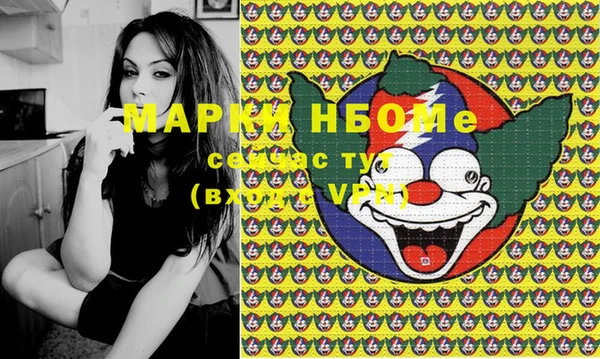 амф Майский