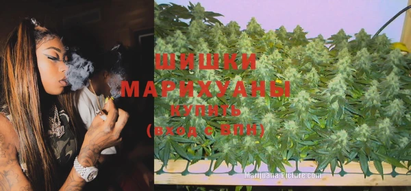 амф Майский