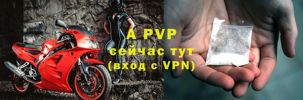 амф Майский