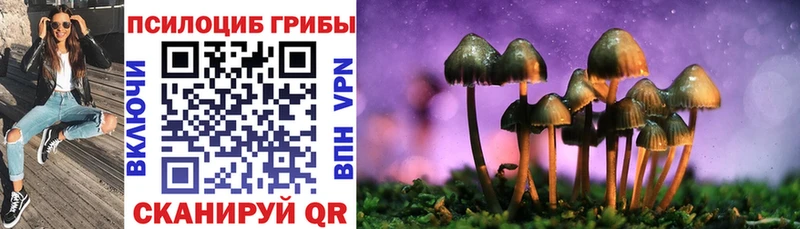Купить где  Звенигово  Галлюциногенные грибы мухоморы 