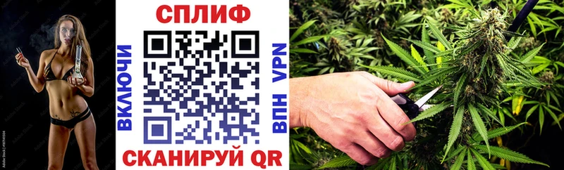 Конопля гибрид  Купить где  Звенигово 